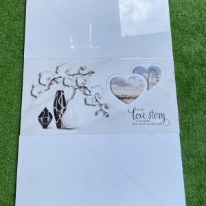 Nhà phân phối viglacera ánh dương long an