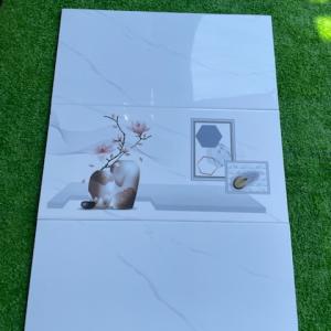 gạch viglacera ánh dương long an