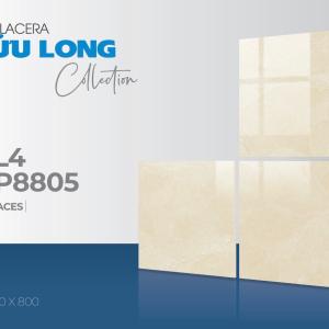 NHÀ PHÂN PHỐI ÁNH DƯƠNG LONG AN-CHUYÊN CUNG CẤP GẠCH CHO CÔNG TRÌNH