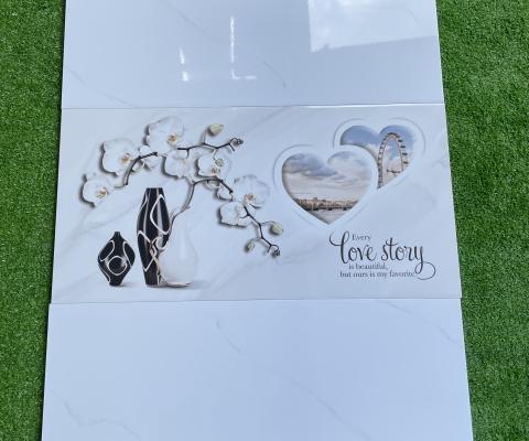 Nhà phân phối viglacera ánh dương long an