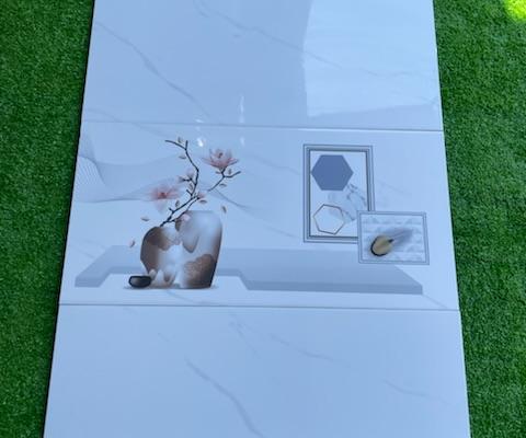 gạch viglacera ánh dương long an