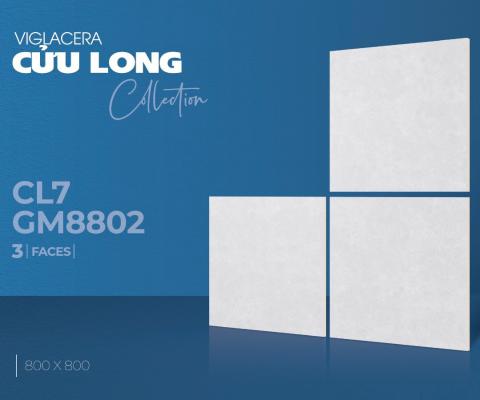 Kho Gạch Giá Sỉ Long An | Cung Cấp Gạch Cho Nhà Thầu Công Trình