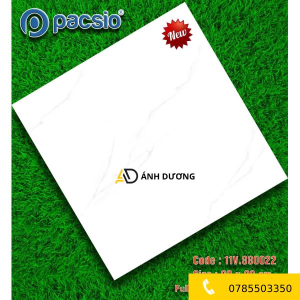 AD-PS 880022
