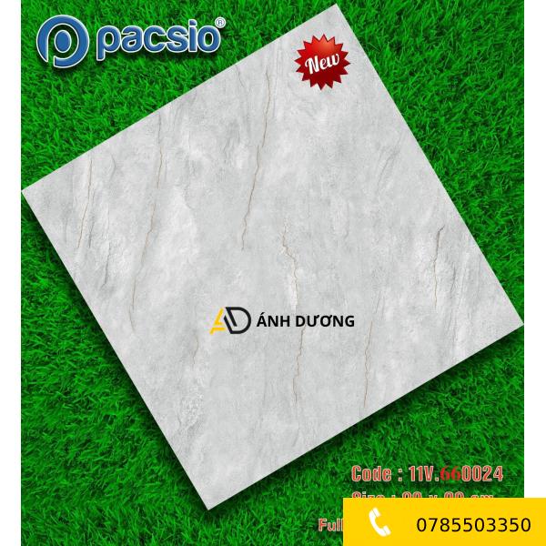 AD-PS 660024
