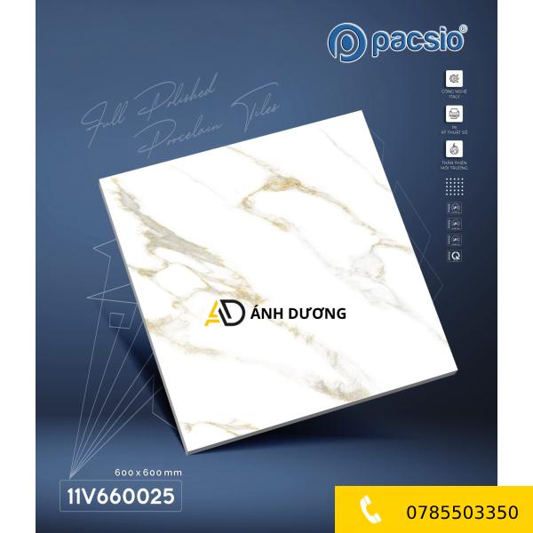 AD-PS 660025