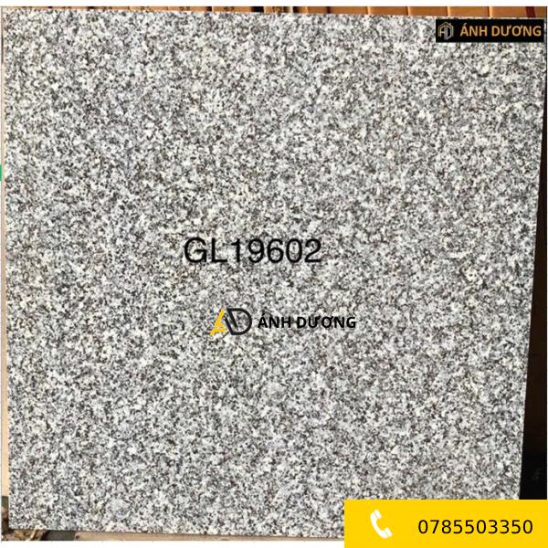 AD-GL19602